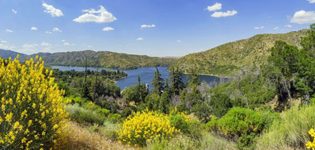 Silverwood Lake Lodging Mobile Site